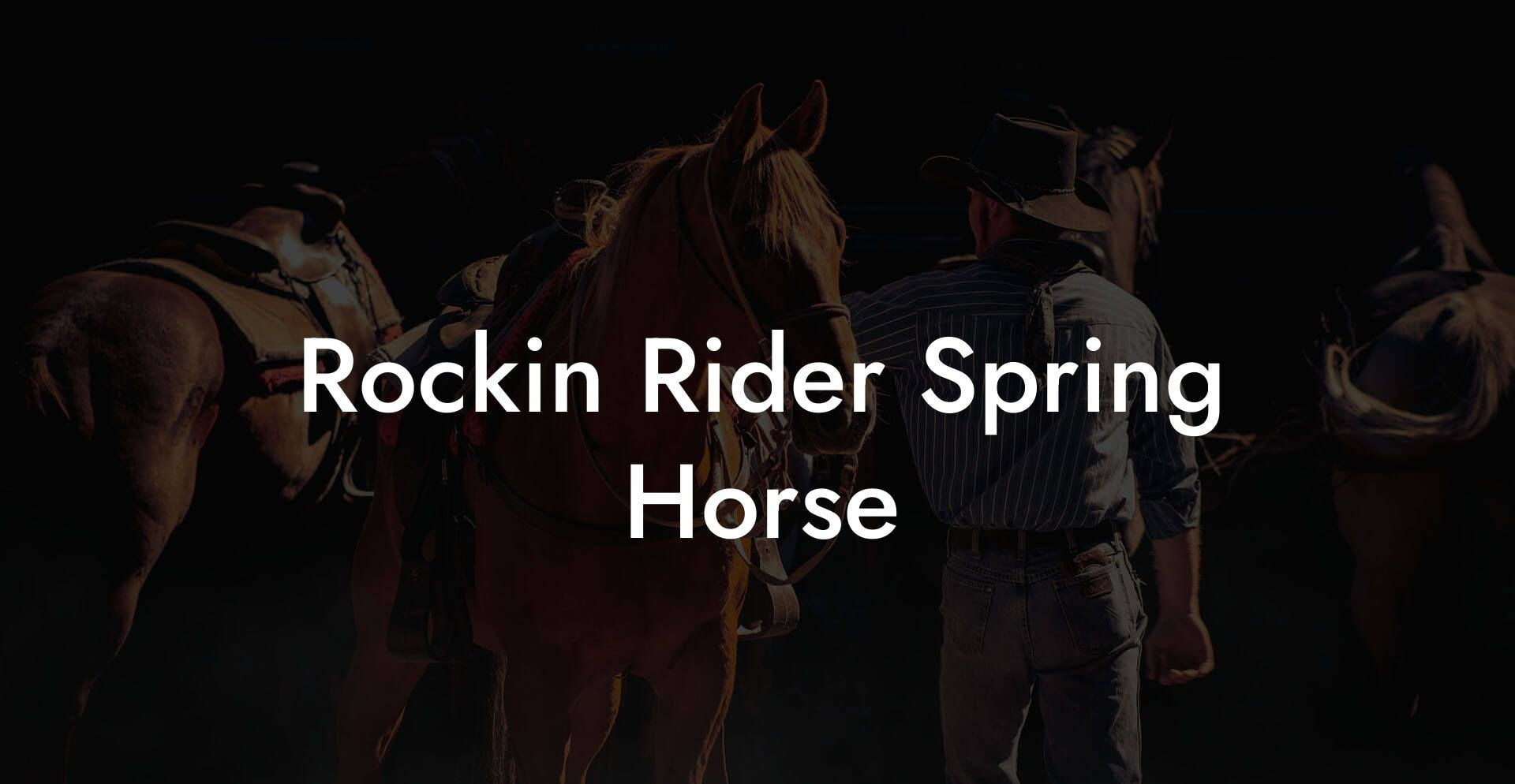 Rockin Rider Spring Horse