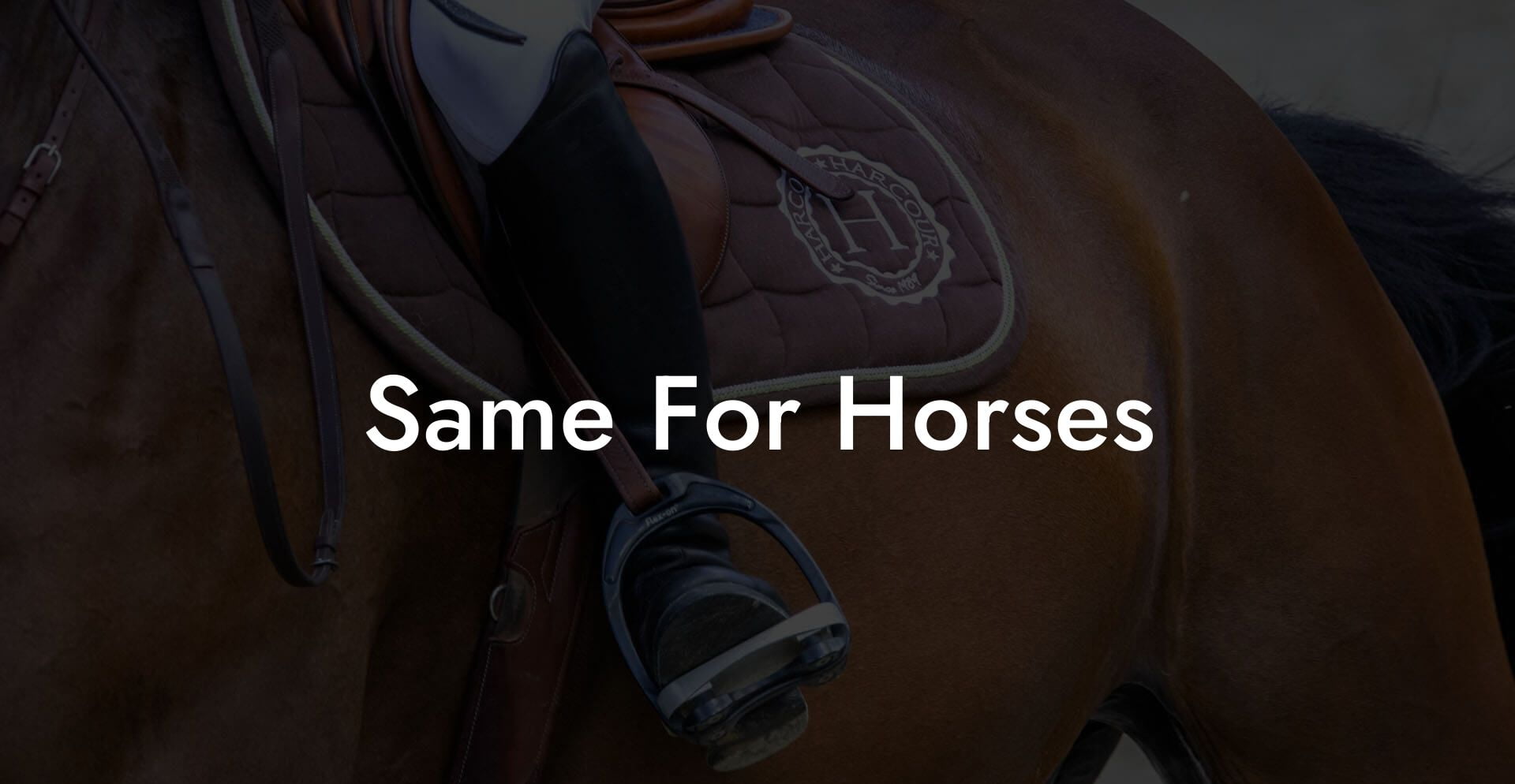 Same For Horses