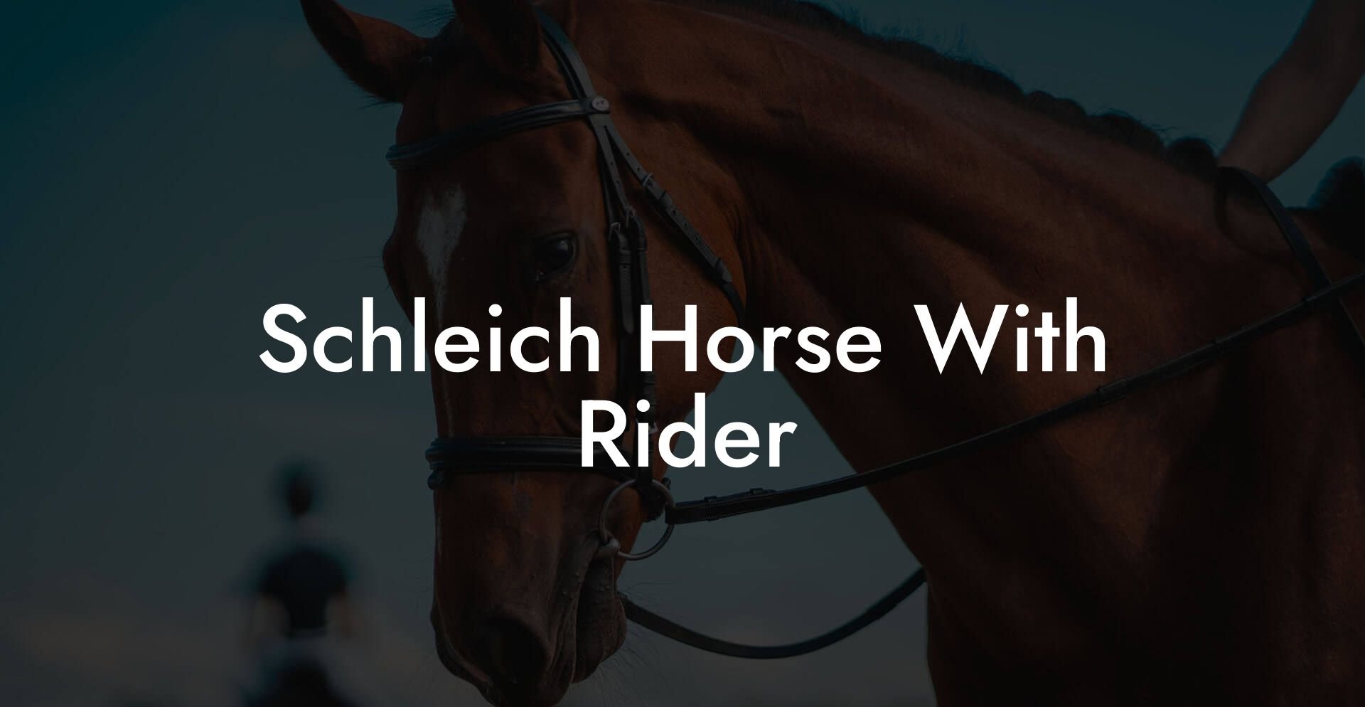 Schleich Horse With Rider