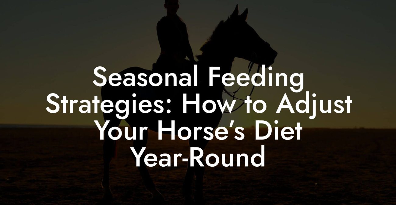 Seasonal Feeding Strategies: How to Adjust Your Horse’s Diet Year-Round