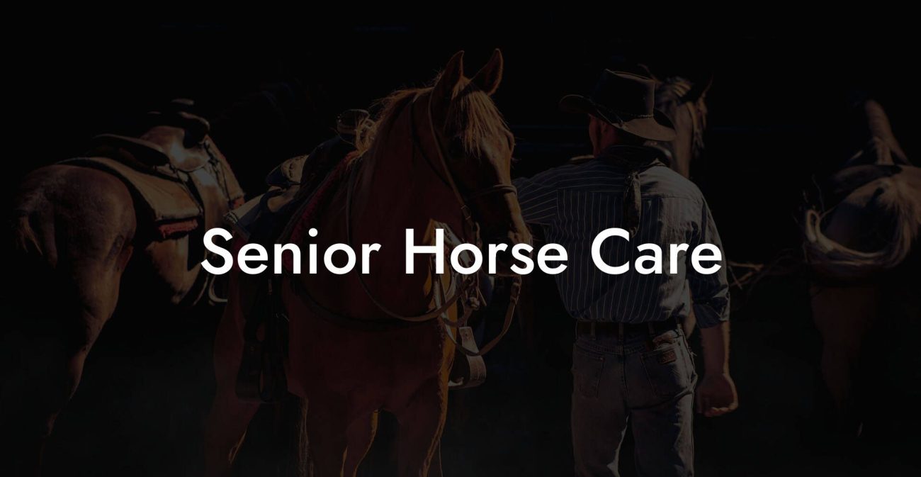 Senior Horse Care