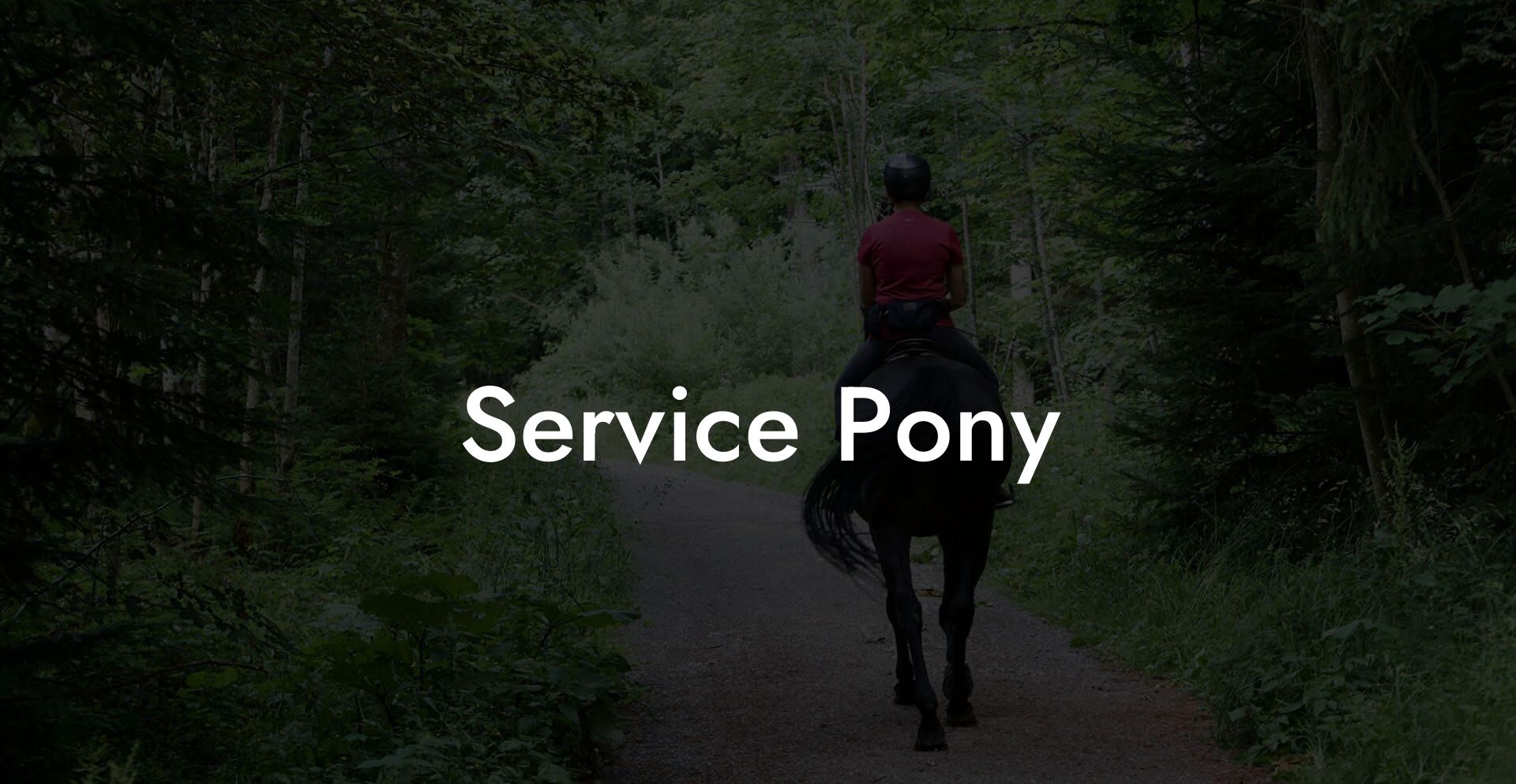 Service Pony