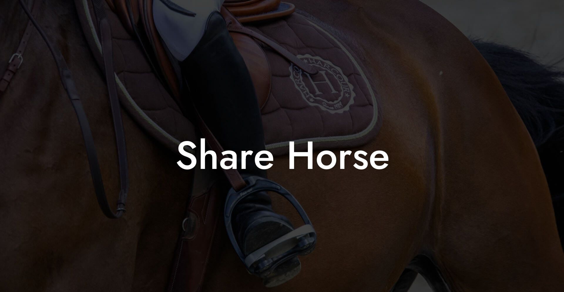 Share Horse