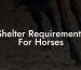 Shelter Requirements For Horses