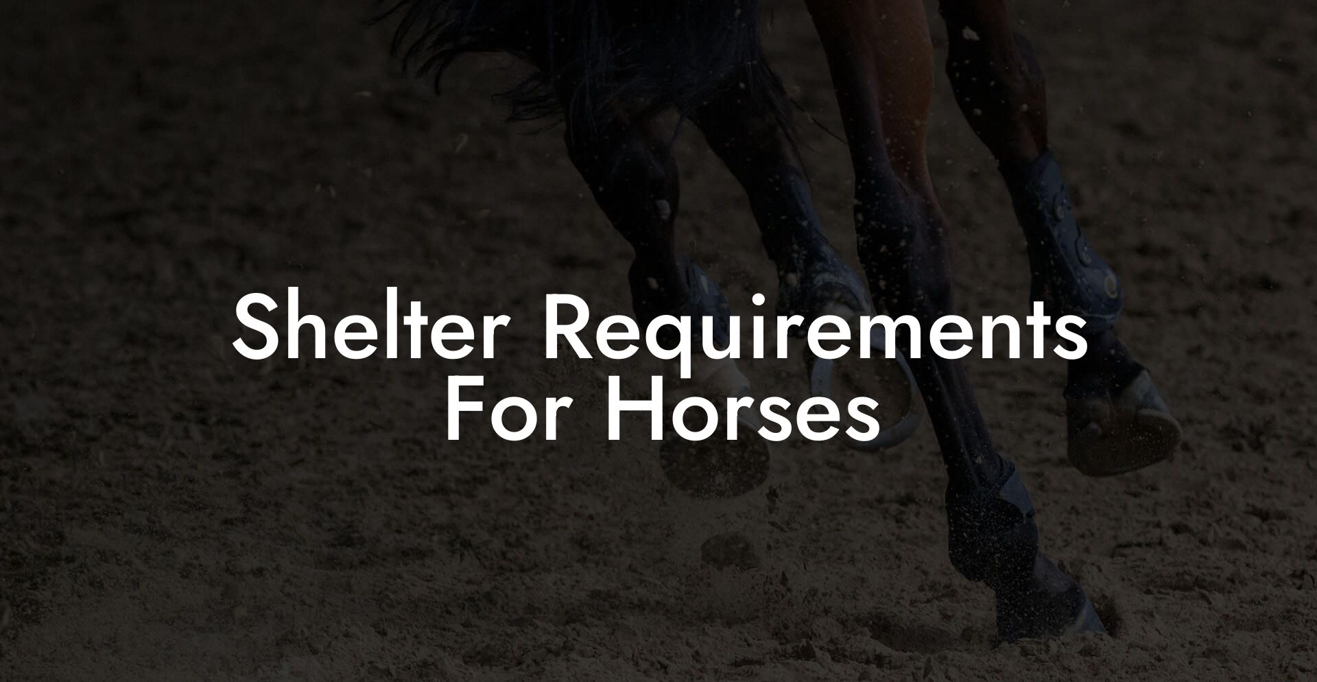 Shelter Requirements For Horses