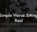 Simple Horse Sitting Real