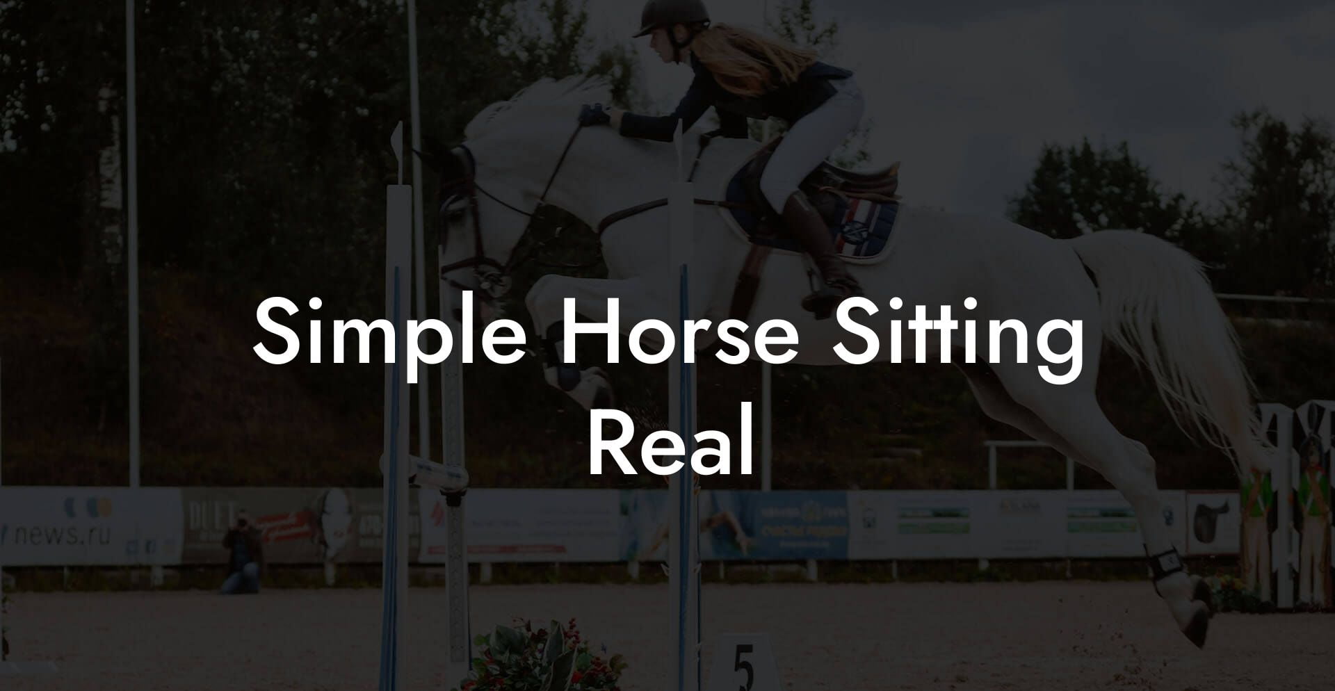 Simple Horse Sitting Real