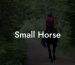 Small Horse