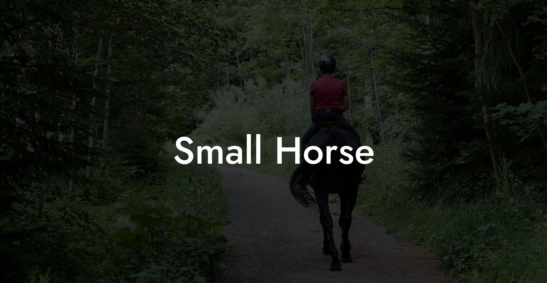 Small Horse