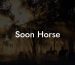 Soon Horse