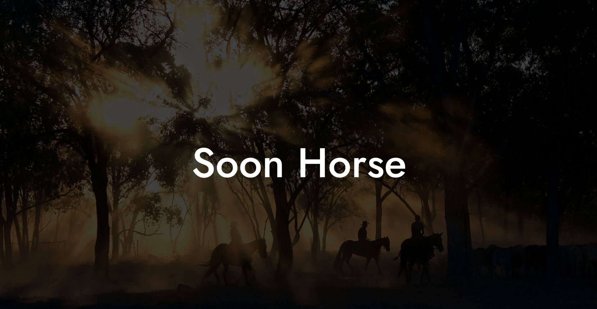 Soon Horse