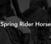 Spring Rider Horse