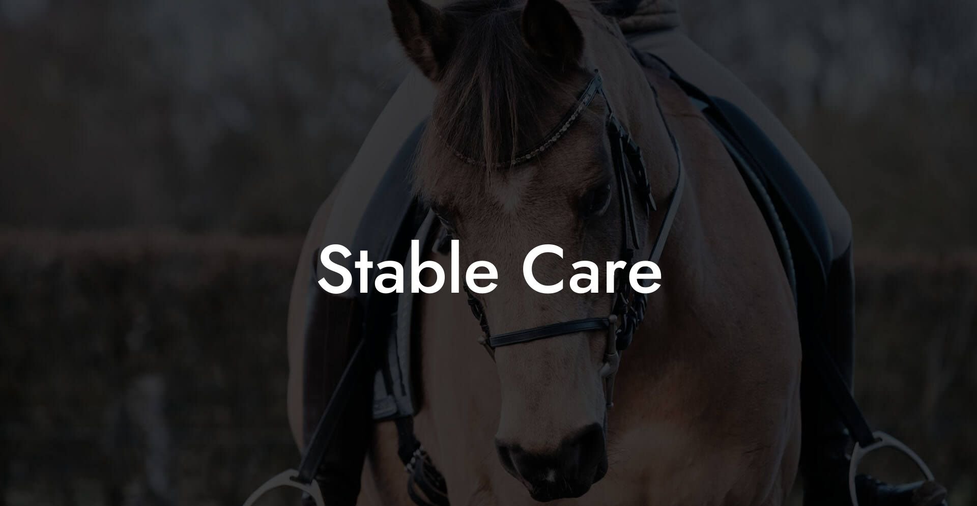 Stable Care