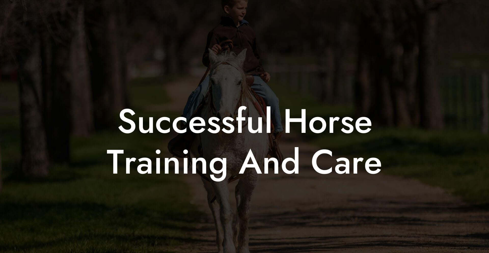 Successful Horse Training And Care