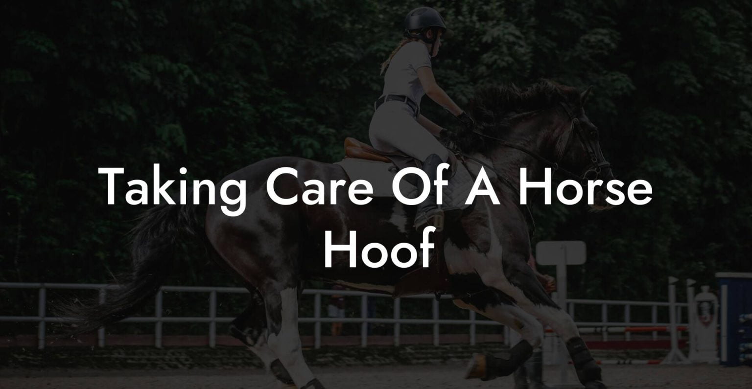 Taking Care Of A Horse Hoof How To Own a Horse