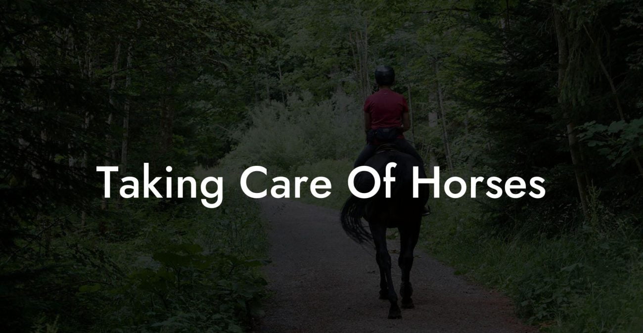 Taking Care Of Horses