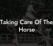 Taking Care Of The Horse