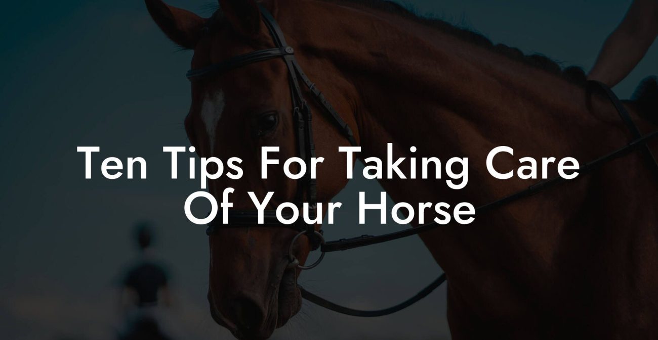 Ten Tips For Taking Care Of Your Horse