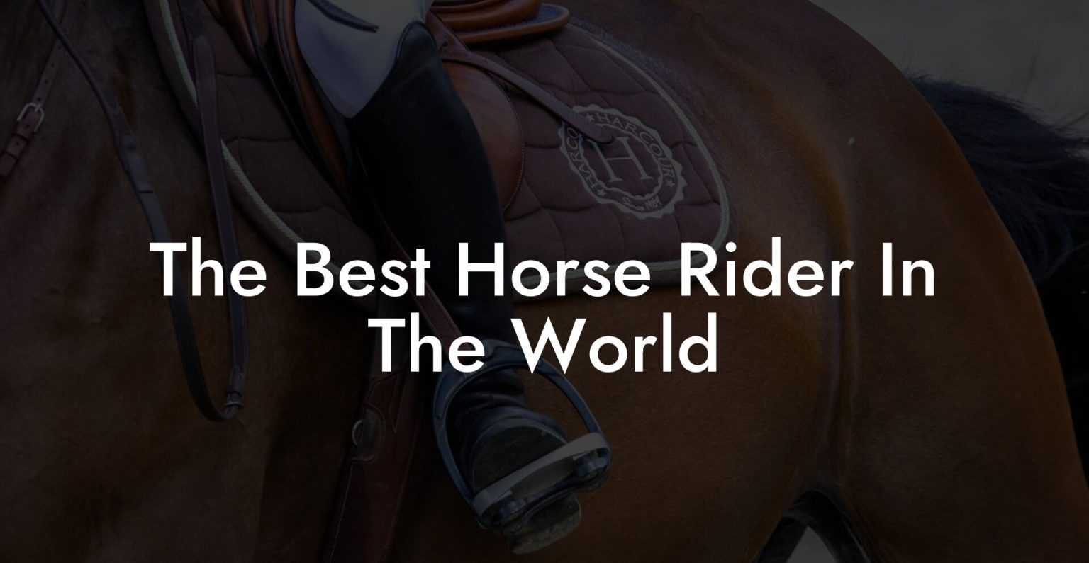 The Best Horse Rider In The World How To Own a Horse