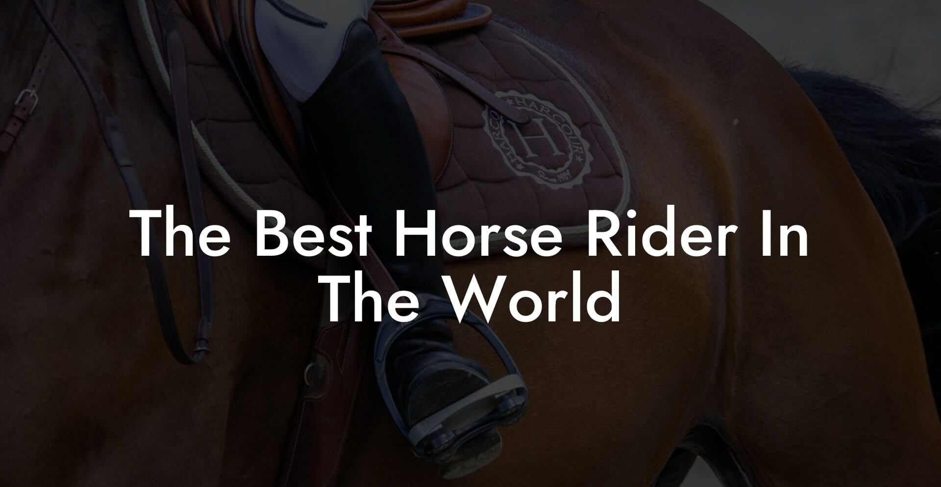 The Best Horse Rider In The World