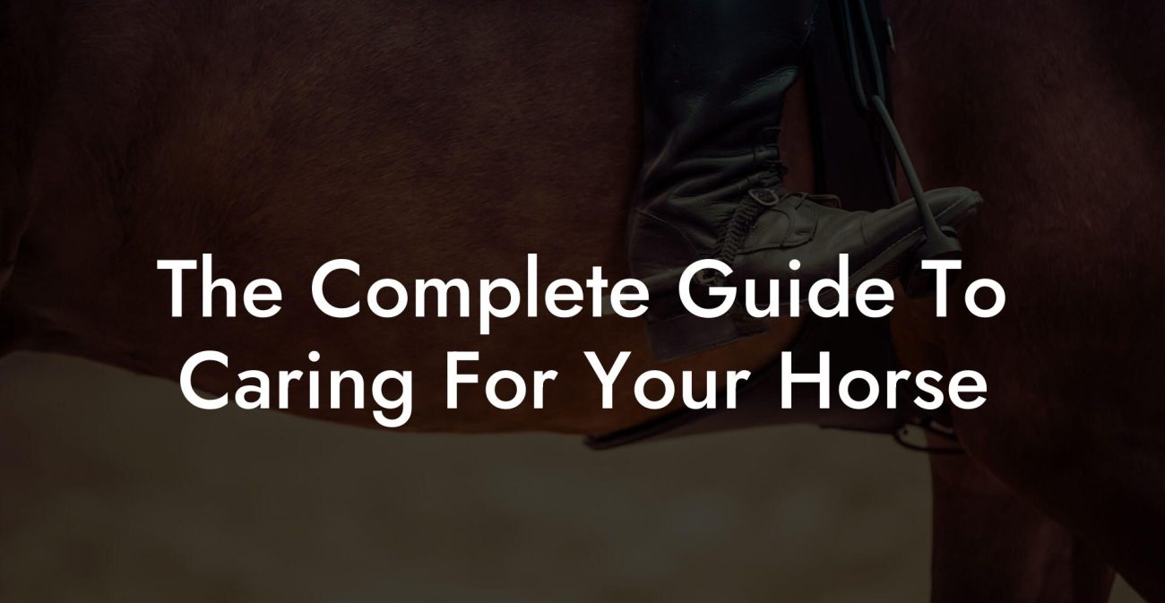 The Complete Guide To Caring For Your Horse