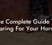 The Complete Guide To Caring For Your Horse