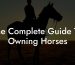 The Complete Guide To Owning Horses
