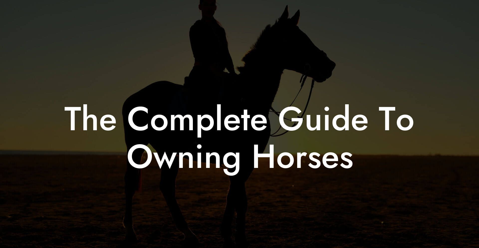The Complete Guide To Owning Horses