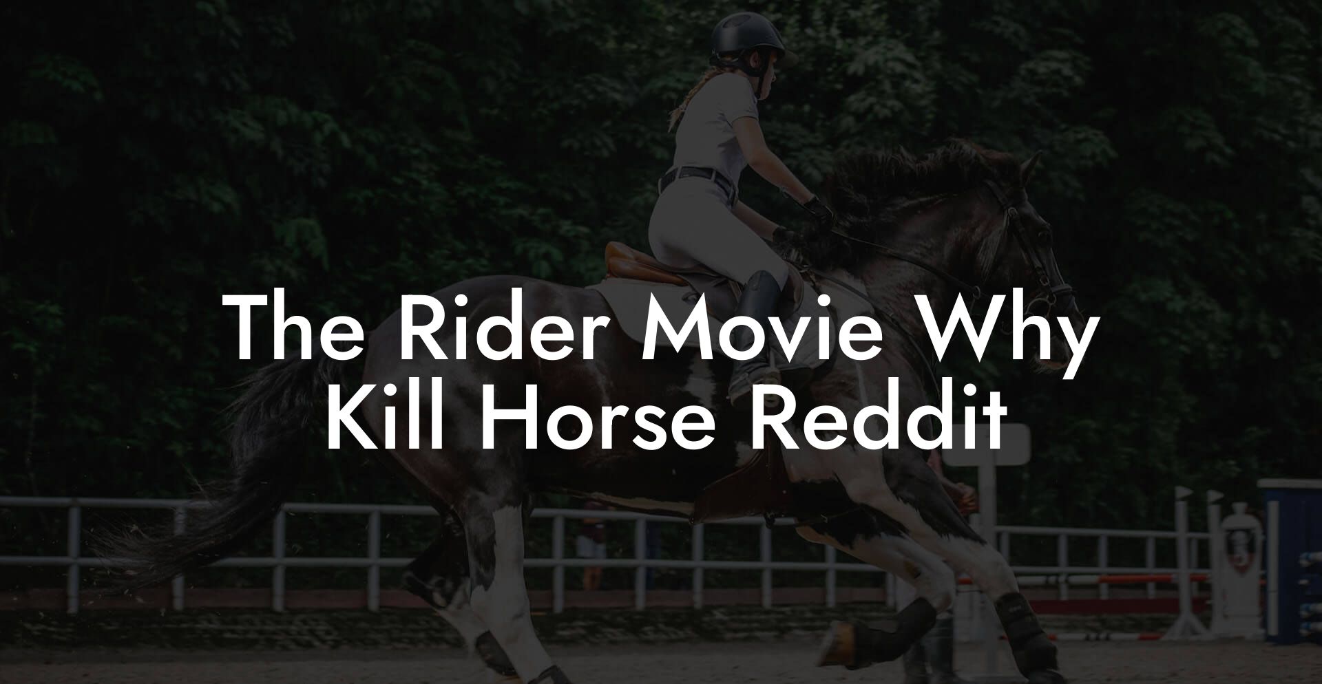 The Rider Movie Why Kill Horse Reddit