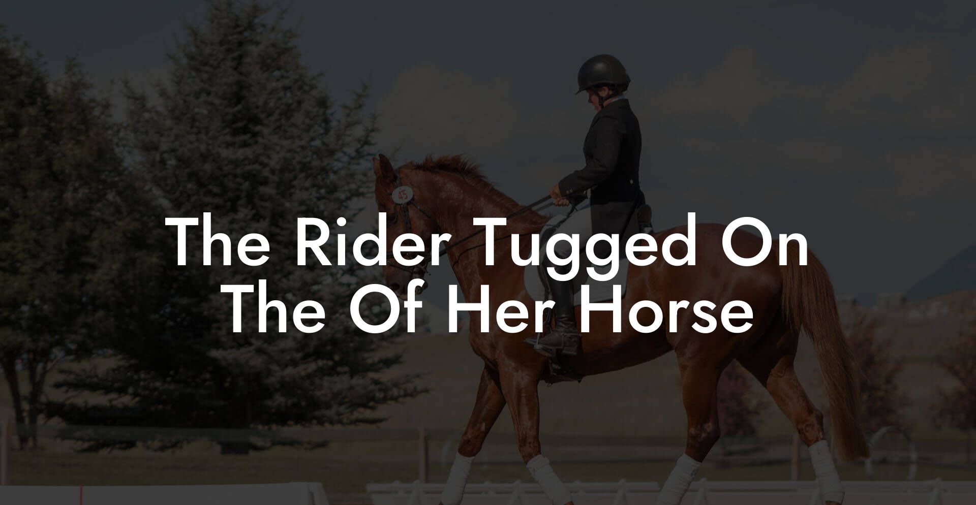 The Rider Tugged On The Of Her Horse