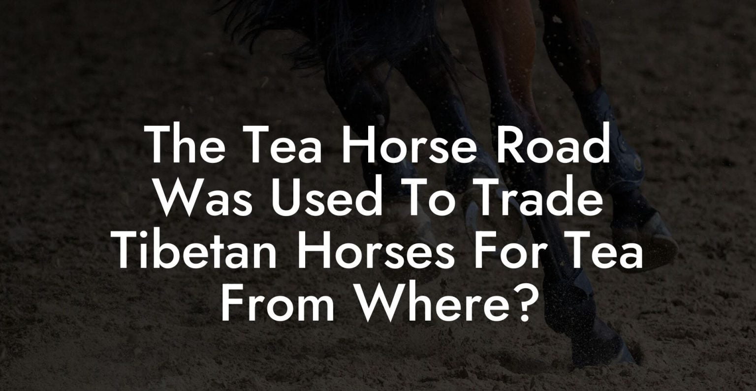The Tea Horse Road Was Used To Trade Tibetan Horses For Tea From Where