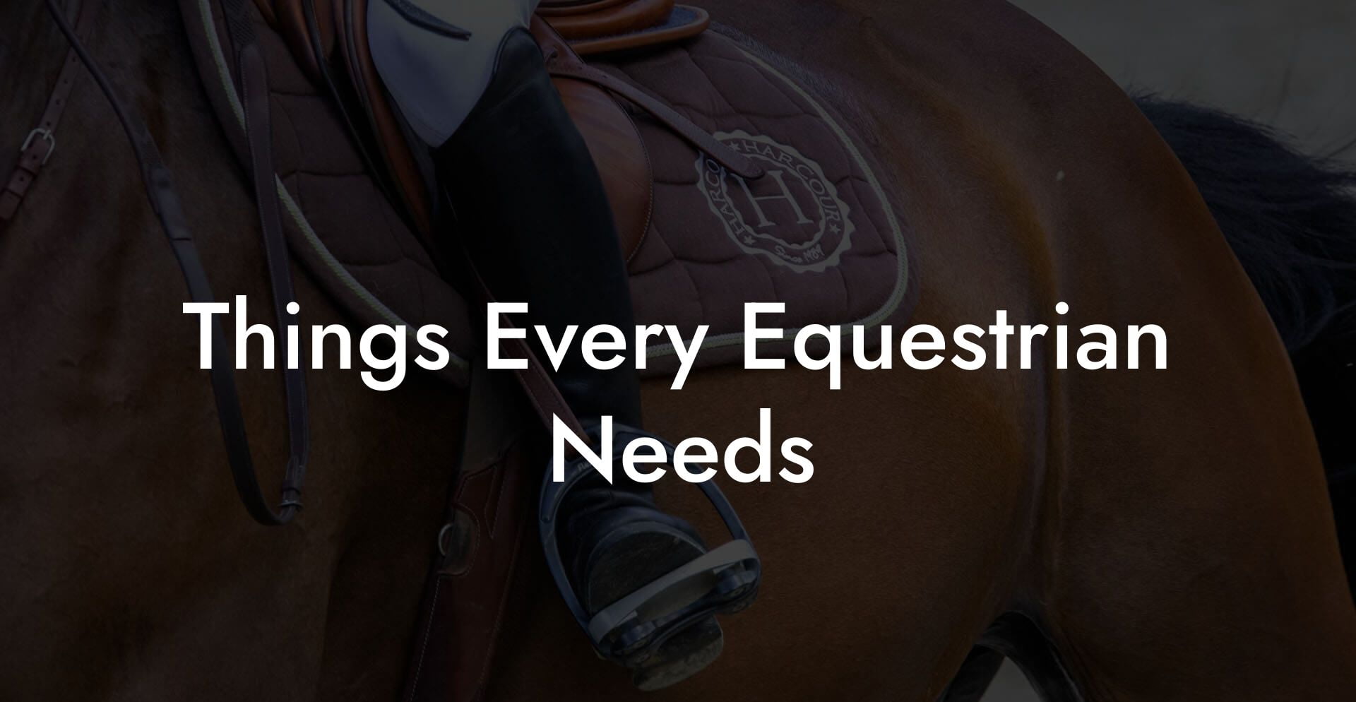 Things Every Equestrian Needs