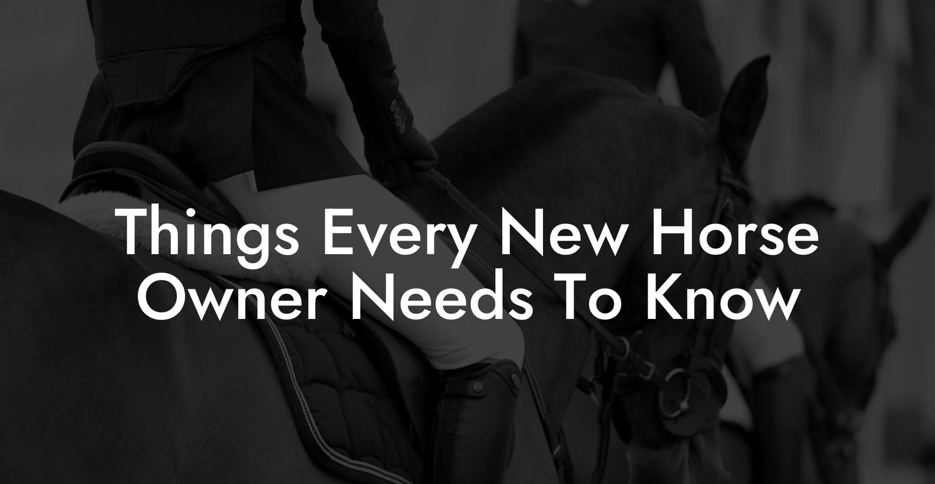 Things Every New Horse Owner Needs To Know