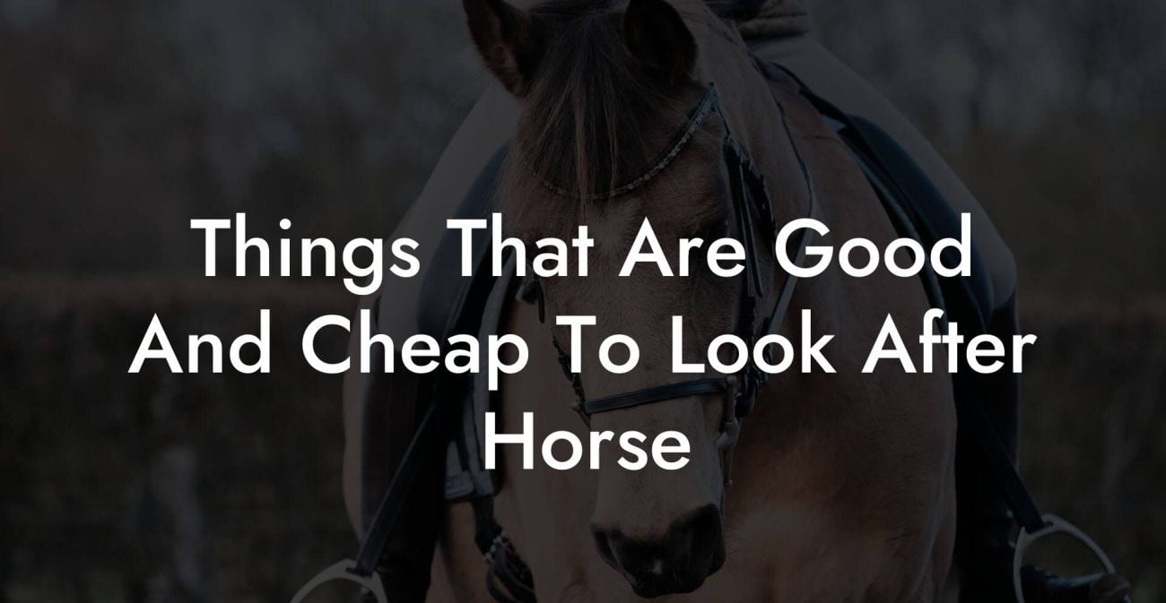 Things That Are Good And Cheap To Look After Horse