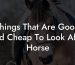 Things That Are Good And Cheap To Look After Horse