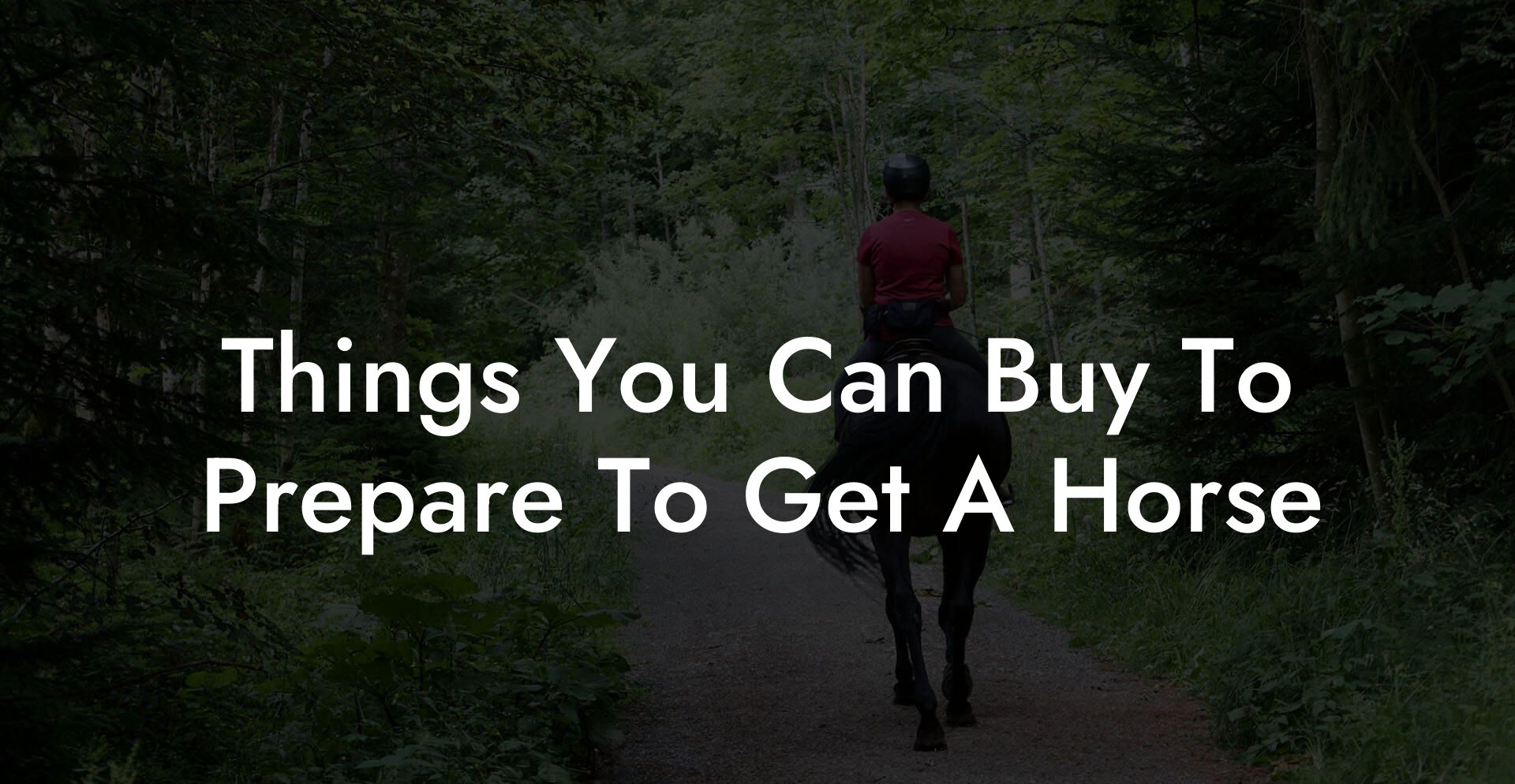 Things You Can Buy To Prepare To Get A Horse