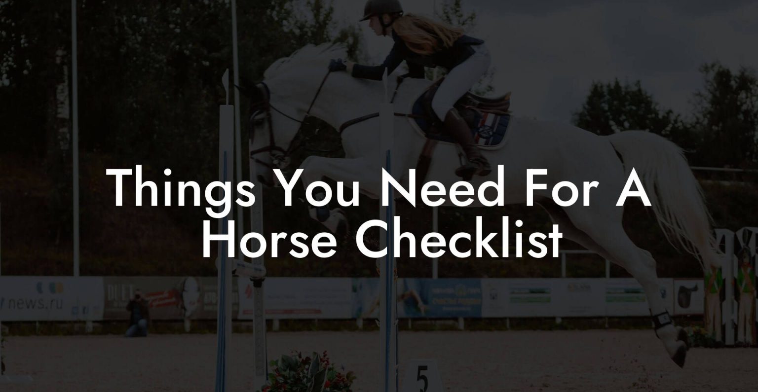 Things You Need For A Horse Checklist How To Own a Horse