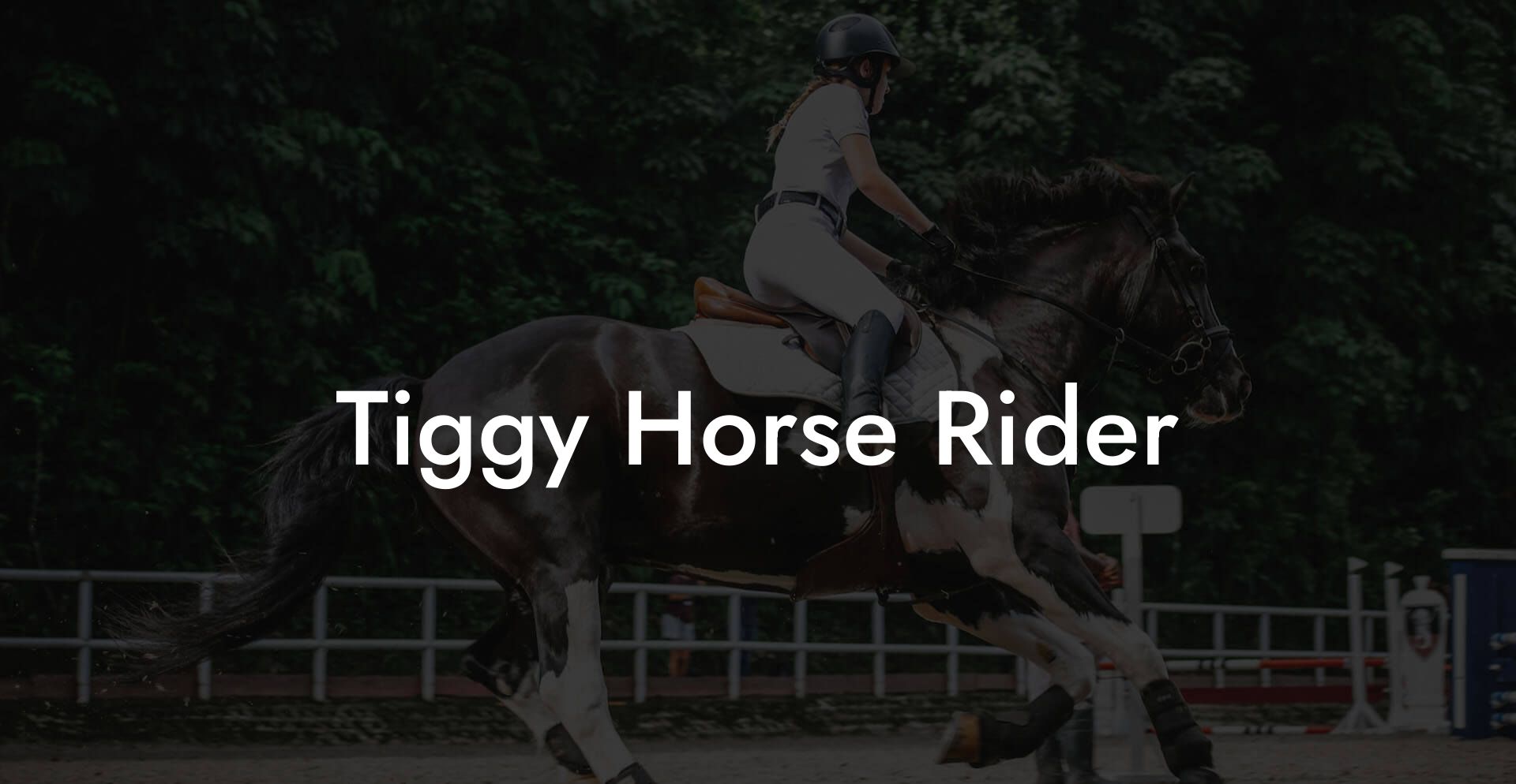 Tiggy Horse Rider