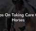 Tips On Taking Care Of Horses
