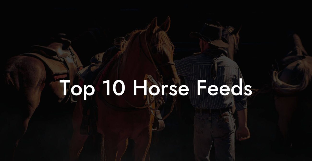 Top 10 Horse Feeds