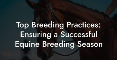 Top Breeding Practices: Ensuring a Successful Equine Breeding Season