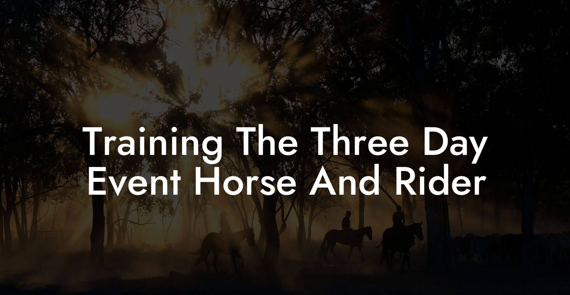 Training The Three Day Event Horse And Rider