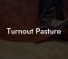 Turnout Pasture