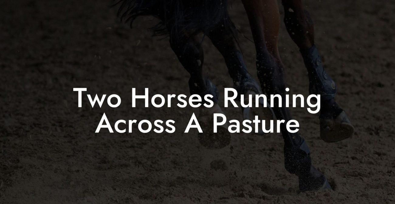 Two Horses Running Across A Pasture