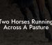 Two Horses Running Across A Pasture