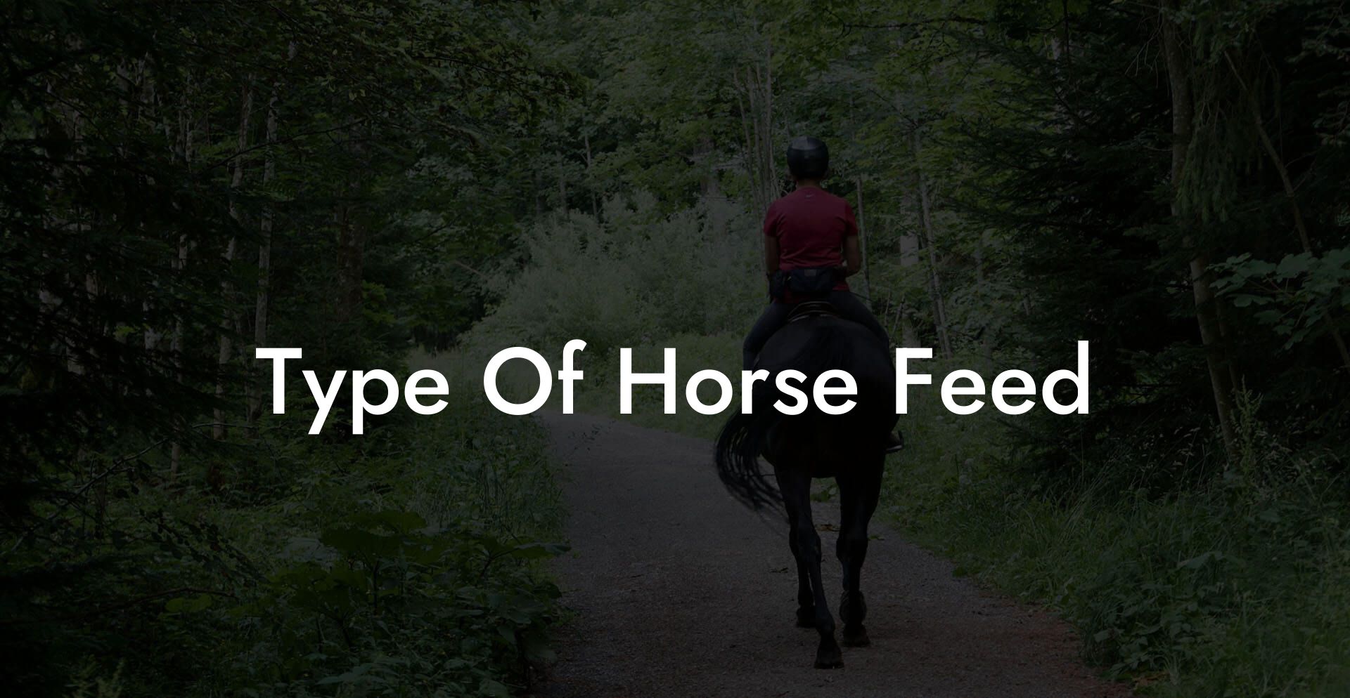 Type Of Horse Feed