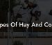 Types Of Hay And Costs