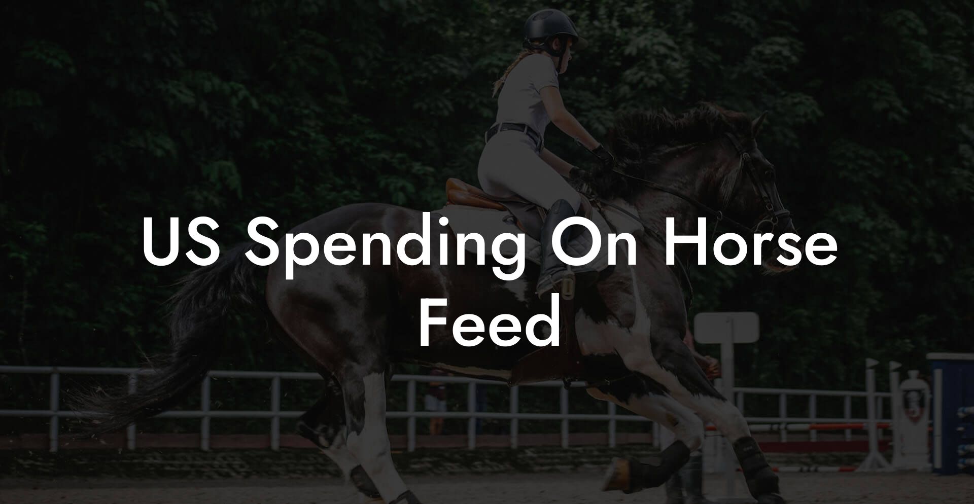 US Spending On Horse Feed