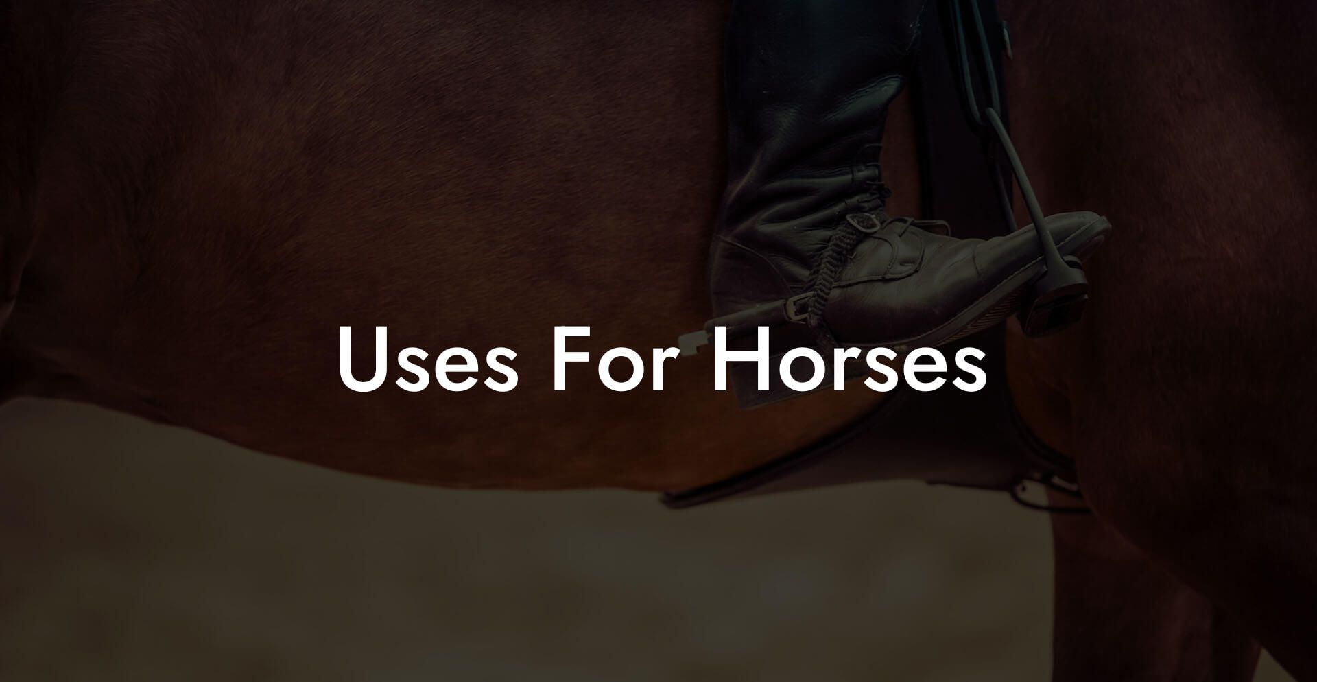 Uses For Horses