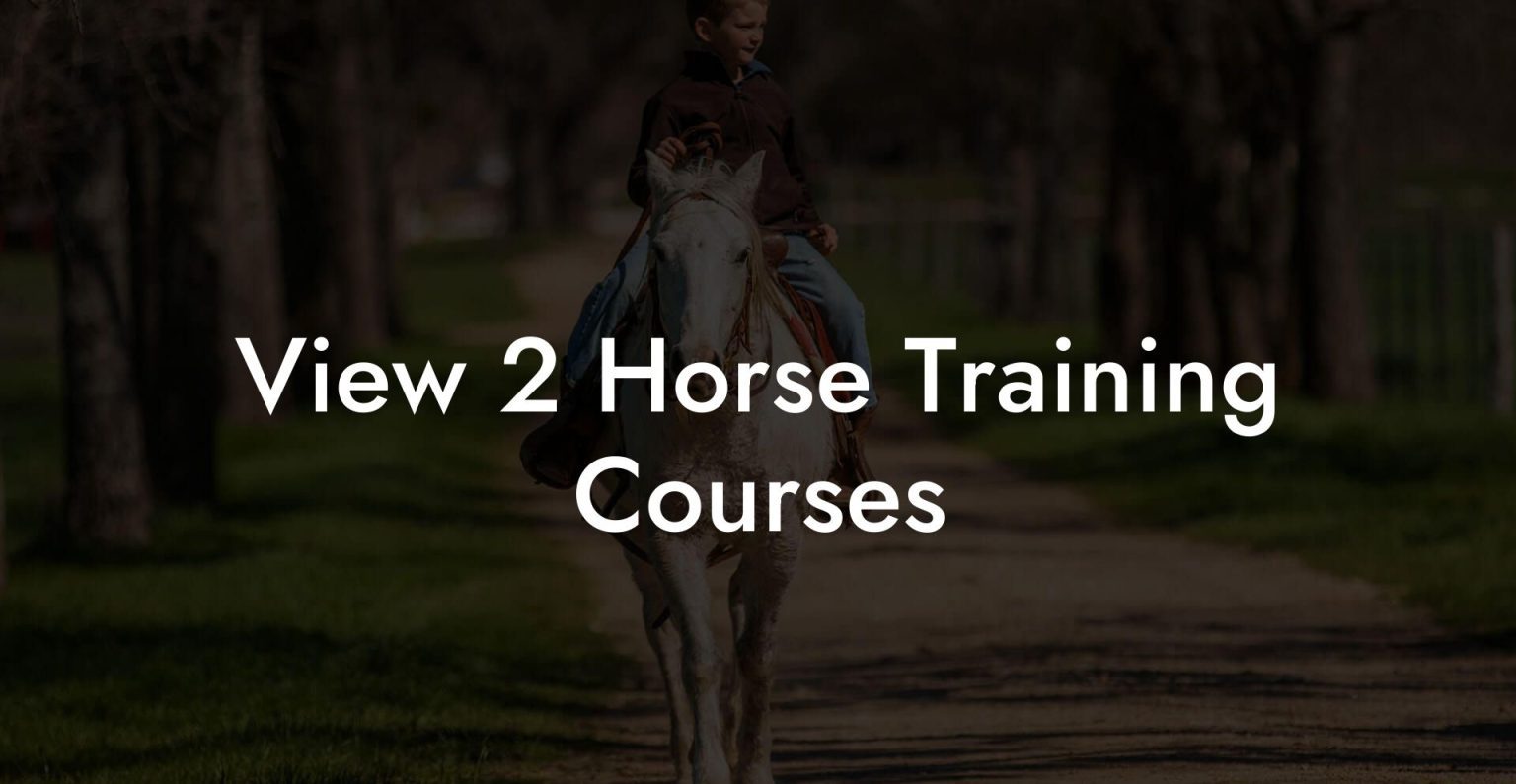 view-2-horse-training-courses-how-to-own-a-horse